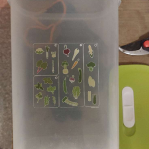 Tupperware FridgeSmart Vertikal Tall Container zu 3,2 Liter